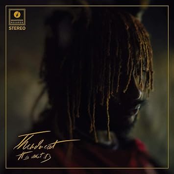 Es lo que es de Thundercat