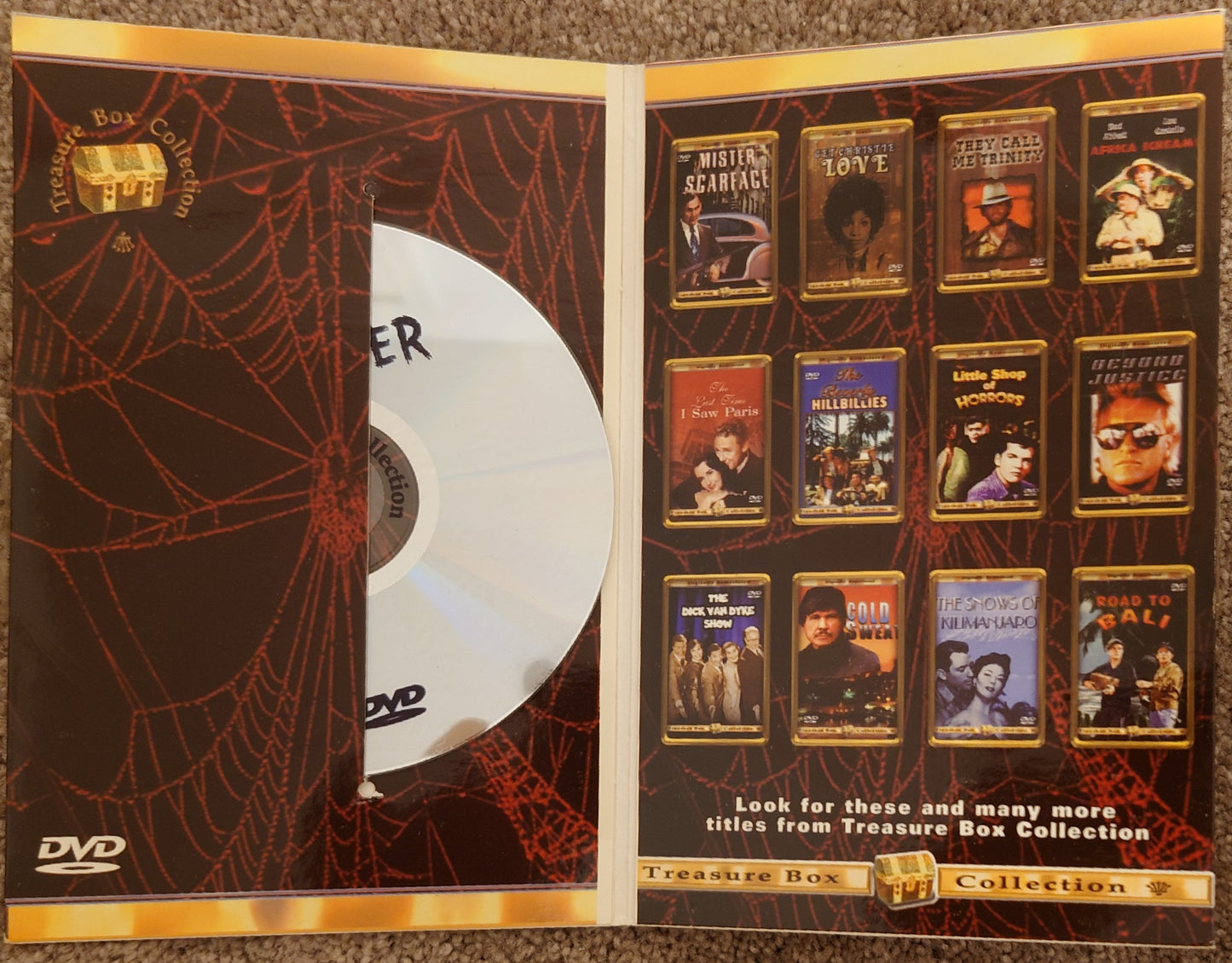 Web of the spider